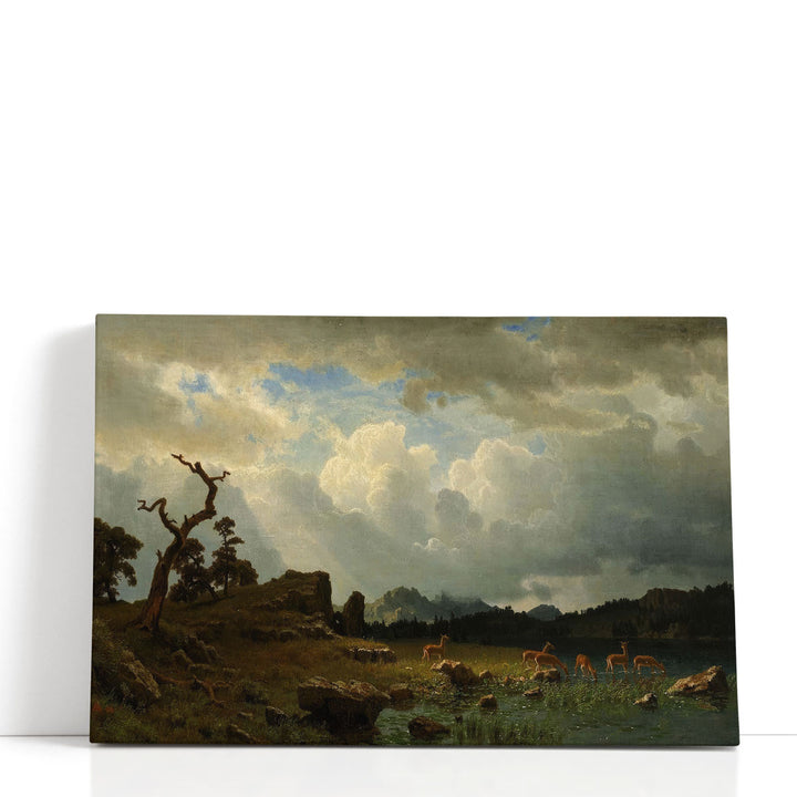 Landscape Canvas Prints muted forest horizon