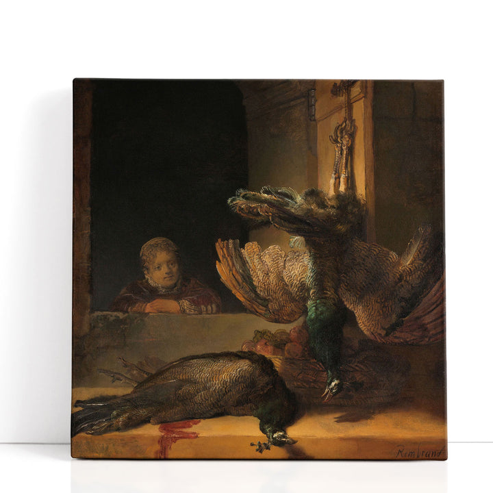 Still Life with Peacocks, 1639 - Canvas Print Wall Art