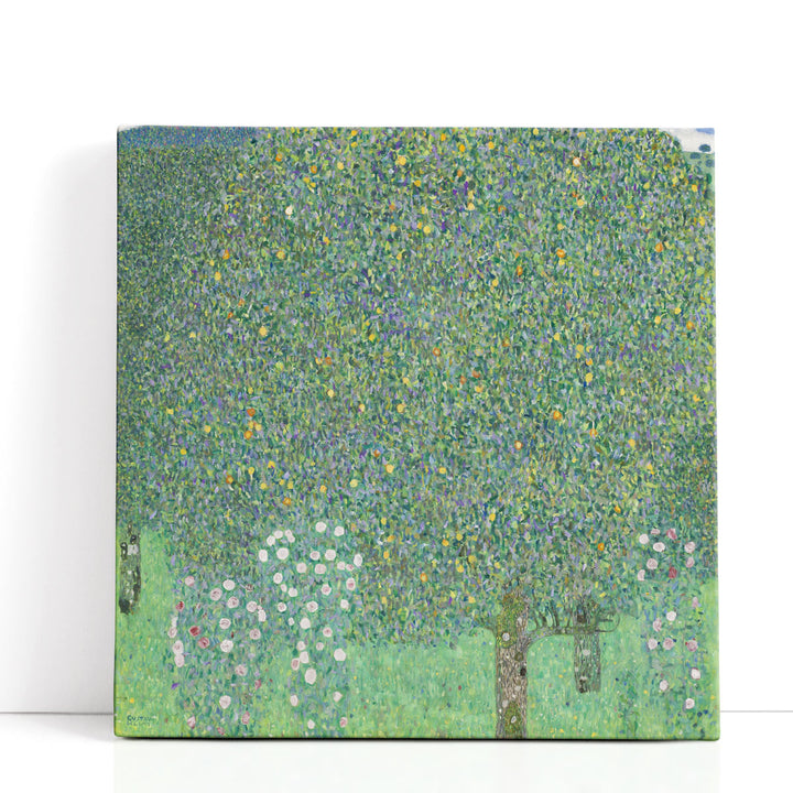 Rosebushes under the Trees, 1905 - Canvas Print Wall Art