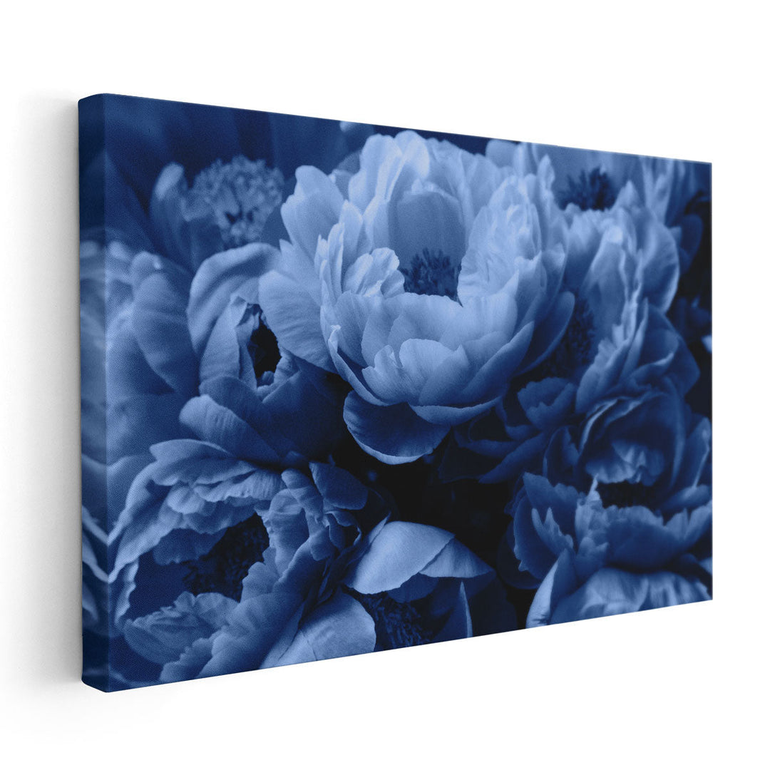 Blue Peony Rose Flowers - Canvas Print Wall Art