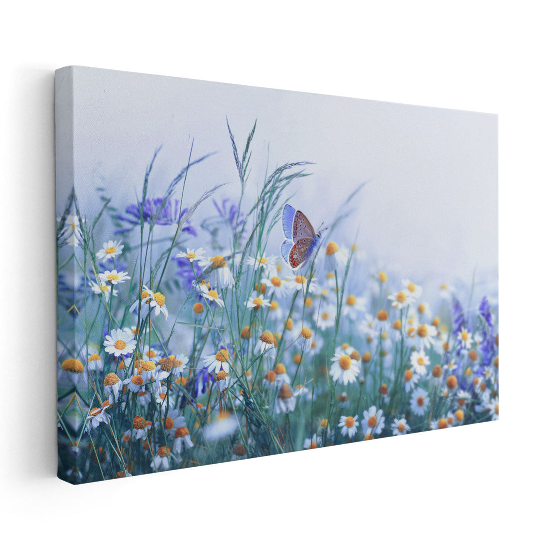 Chamomile, Purple Wild Peas, Butterfly in Morning Haze - Canvas Print Wall Art