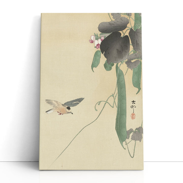 Bird at Flowering Bean Plant, 1900 -1930 - Canvas Print Wall Art