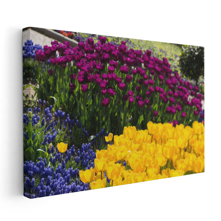 Colorful Blooming Flowers in Spring Season - Canvas Print Wall Art