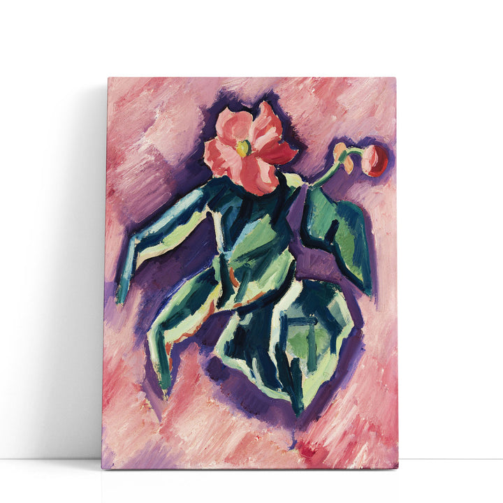 Pink Begonias, 1928-1929 - Canvas Print Wall Art