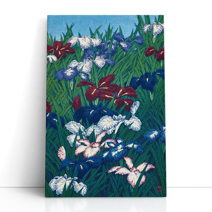 Iris, 1929 - Canvas Print Wall Art