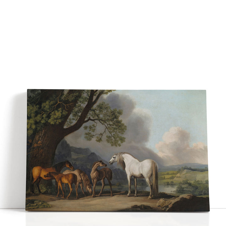 Mares and Foals in an Extensive Landscape - Canvas Print Wall Art