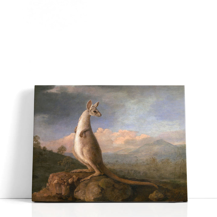 The Kongouro from New Holland - Canvas Print Wall Art