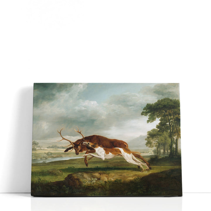 Hound Coursing a Stag, 1762 - Canvas Print Wall Art