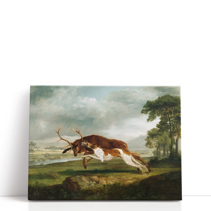 Hound Coursing a Stag, 1762 - Canvas Print Wall Art