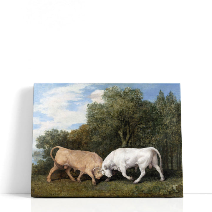 Bulls Fighting, 1786 - Canvas Print Wall Art