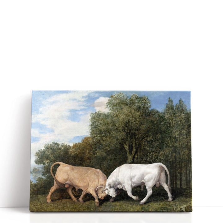 Bulls Fighting, 1786 - Canvas Print Wall Art