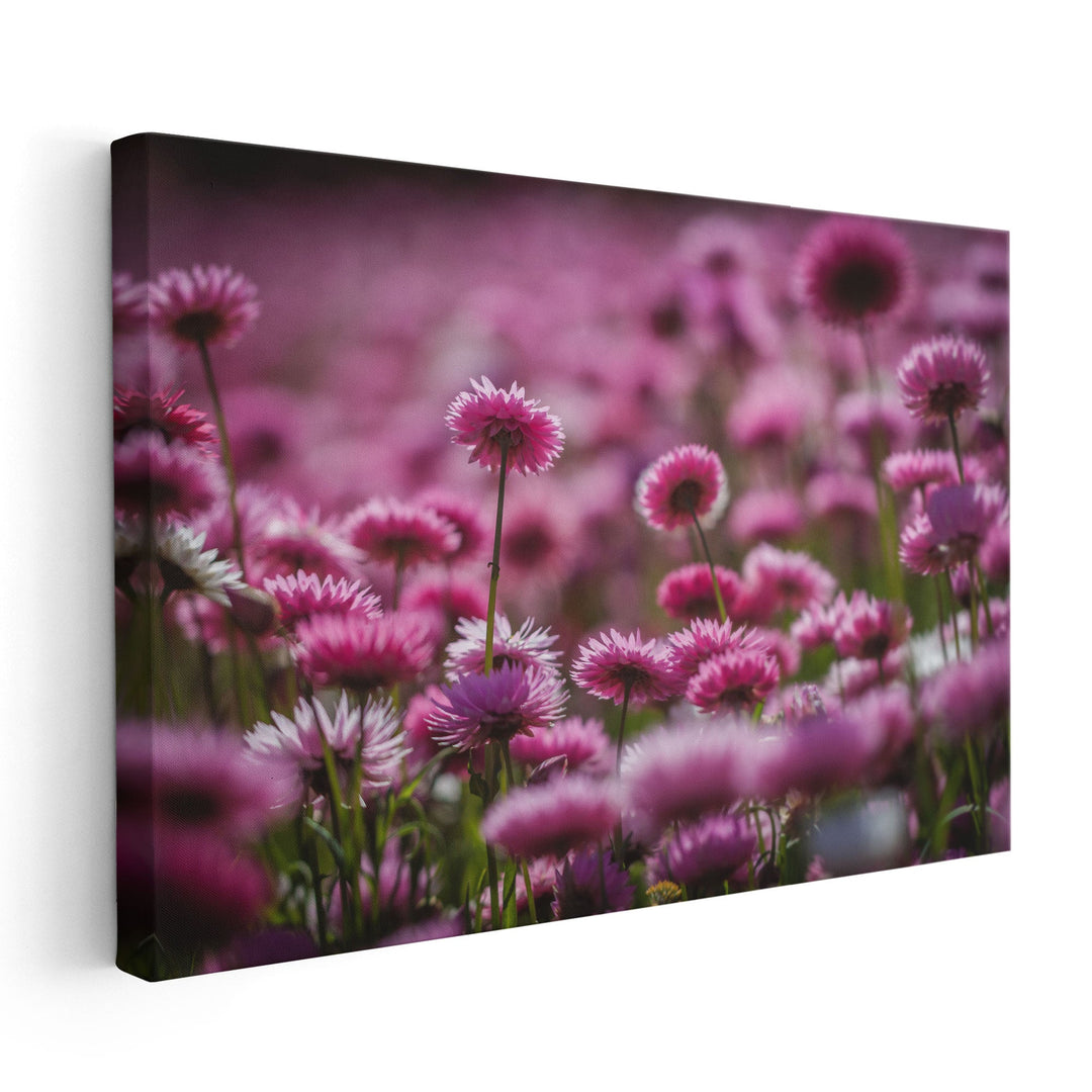 Wildflowers Field - Canvas Print Wall Art