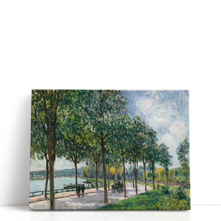 Allwee of Chestnut Trees - Canvas Print Wall Art