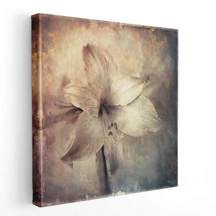 Amaryllis Flower with Artistic Monotone Textures - Canvas Print Wall Art