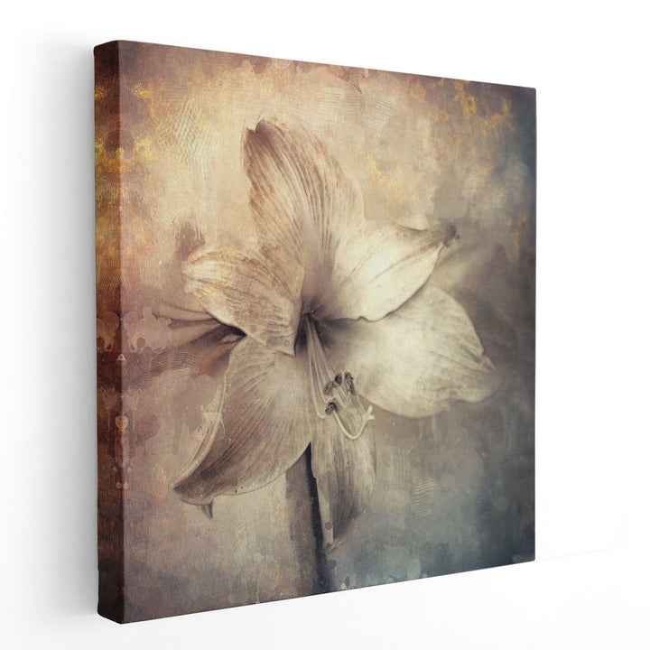 Amaryllis Flower with Artistic Monotone Textures - Canvas Print Wall Art