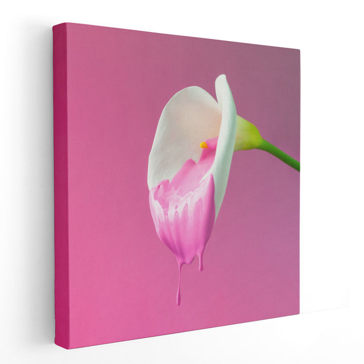Calla Flower with Dripping Pink Paint - Canvas Print Wall Art