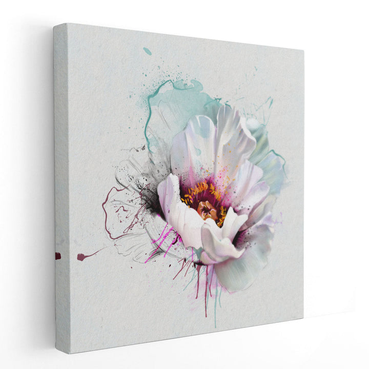 White Poppy Closeup and Watercolors - Canvas Print Wall Art