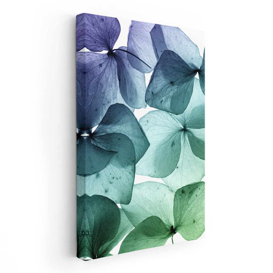 Turquoise Flower Petal Abstract Art - Canvas Print Wall Art