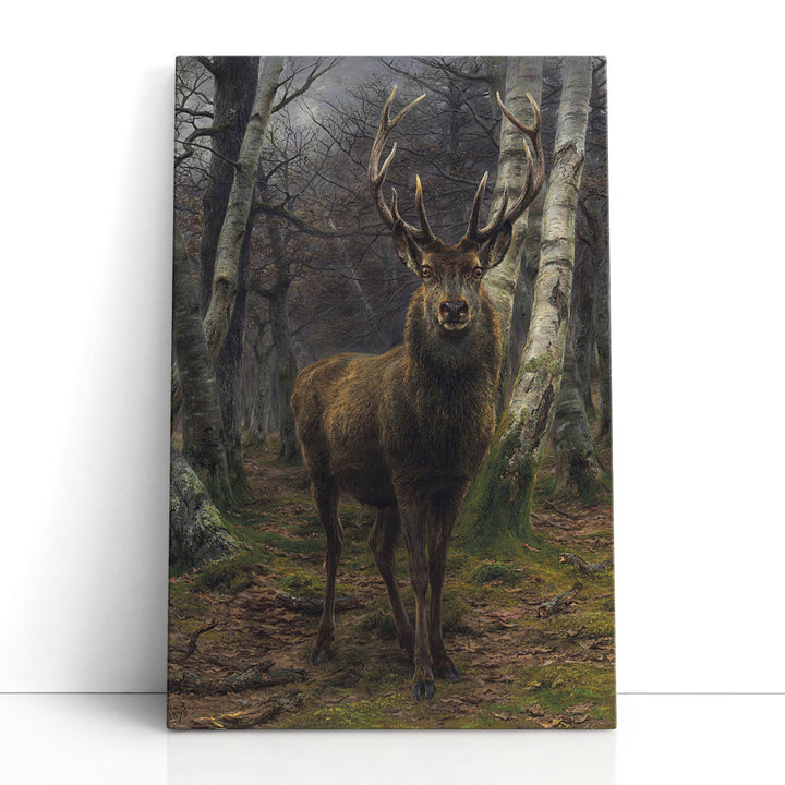 King of the Forest - Canvas Print Wall Art