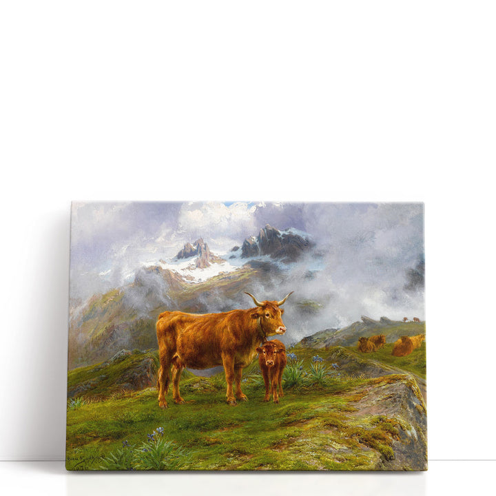 Highland Cattle, 1876 - Canvas Print Wall Art