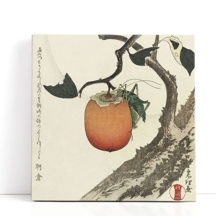 Kakivrucht Met Sprinkhaan - Canvas Print Wall Art