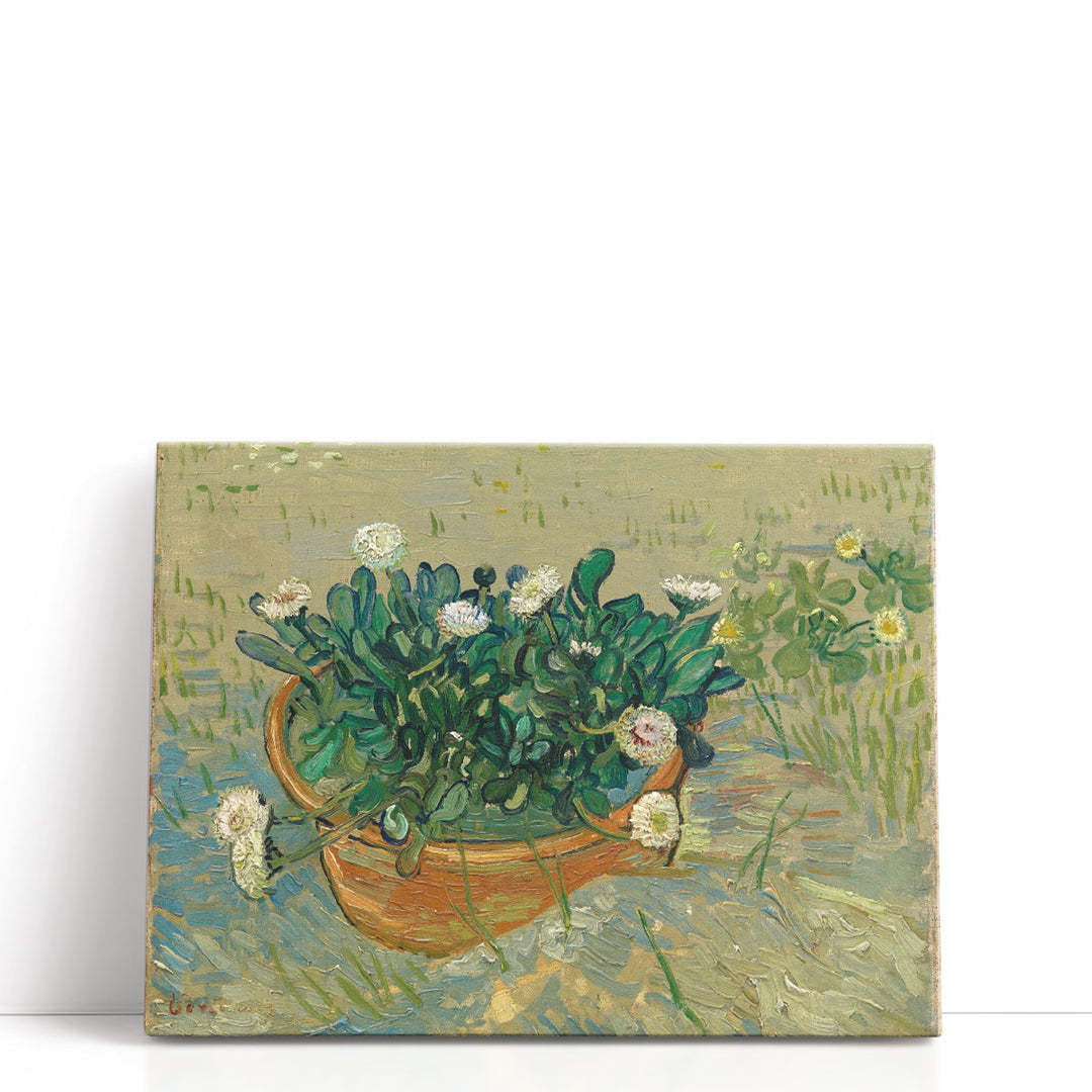 Daisies, Arles, 1888 - Canvas Print Wall Art