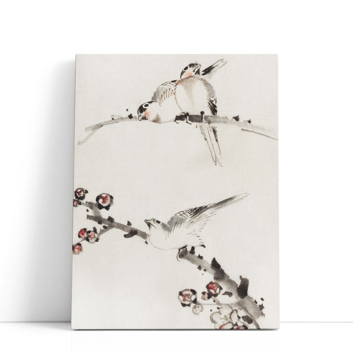 Three Birds Perched on Branches, One with Blossoms - Canvas Print Wall Art