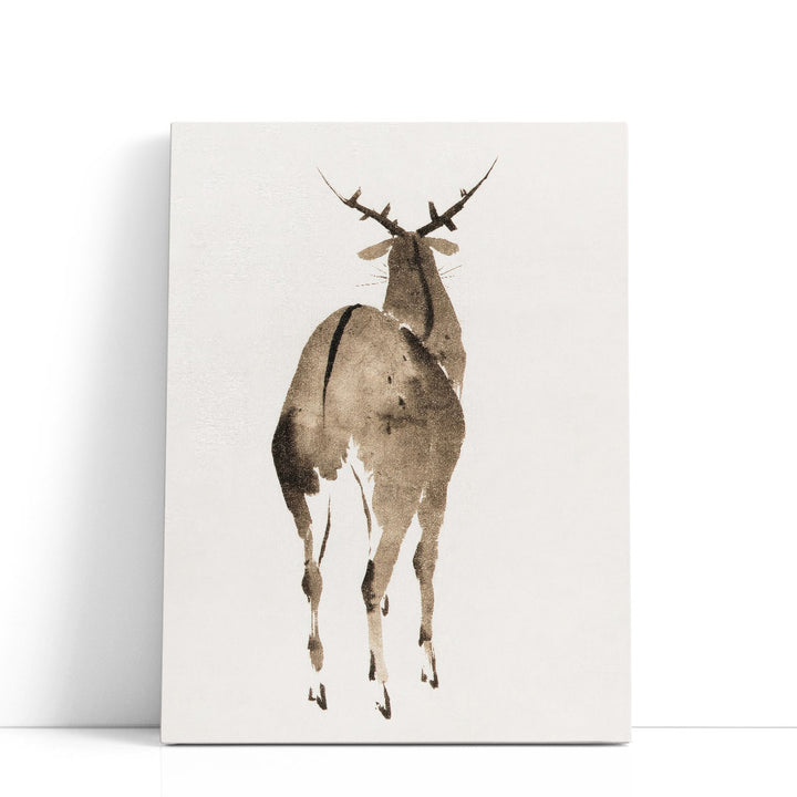 Deer, 1904 - Canvas Print Wall Art