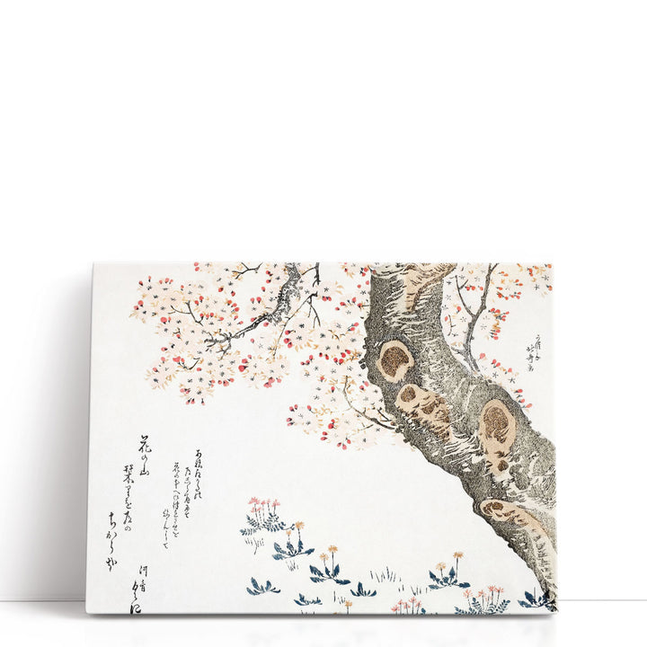 Cherry Tree - Canvas Print Wall Art