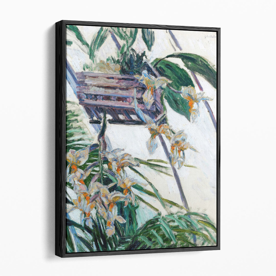Orchids Gustave Caillebotte - Canvas Print Wall Art