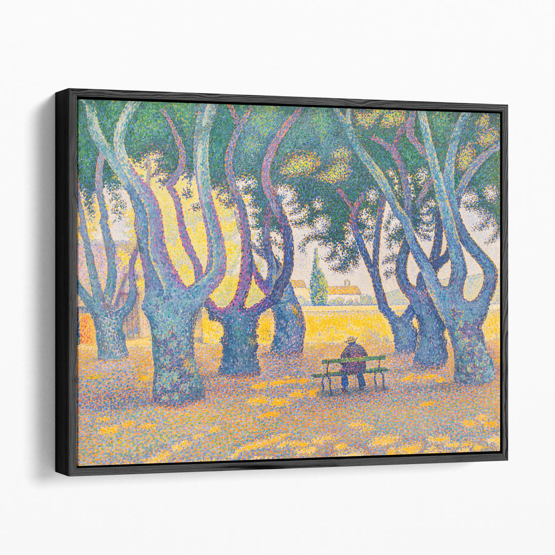 Place des Lices - Canvas Print Wall Art