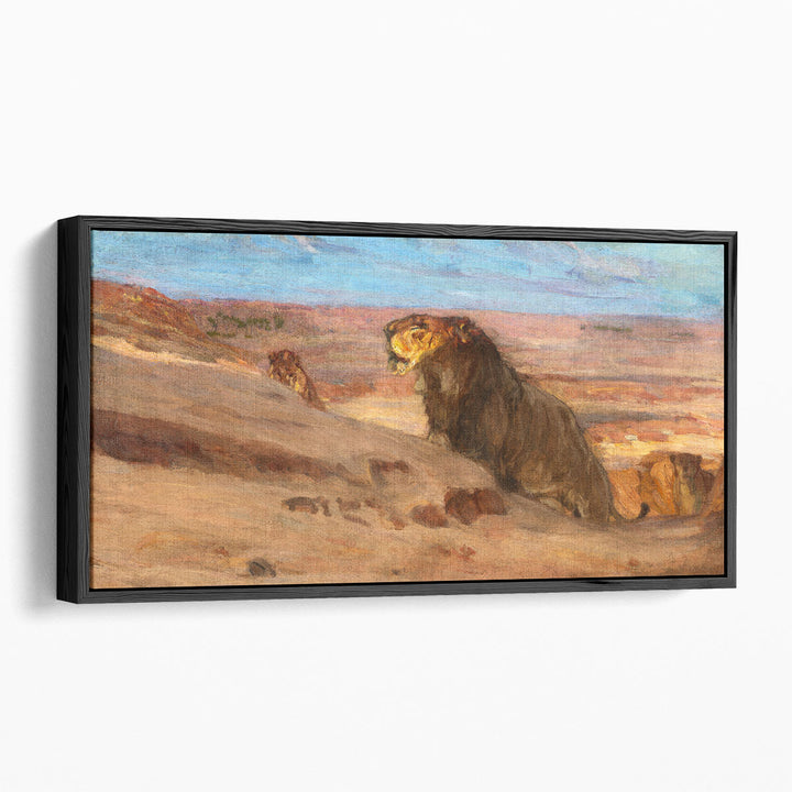 Lions in the Desert  - Canvas Print Wall Art