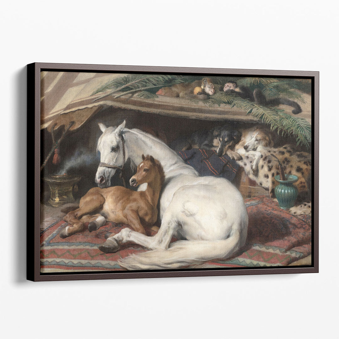 The Arab Tent - Canvas Print Wall Art