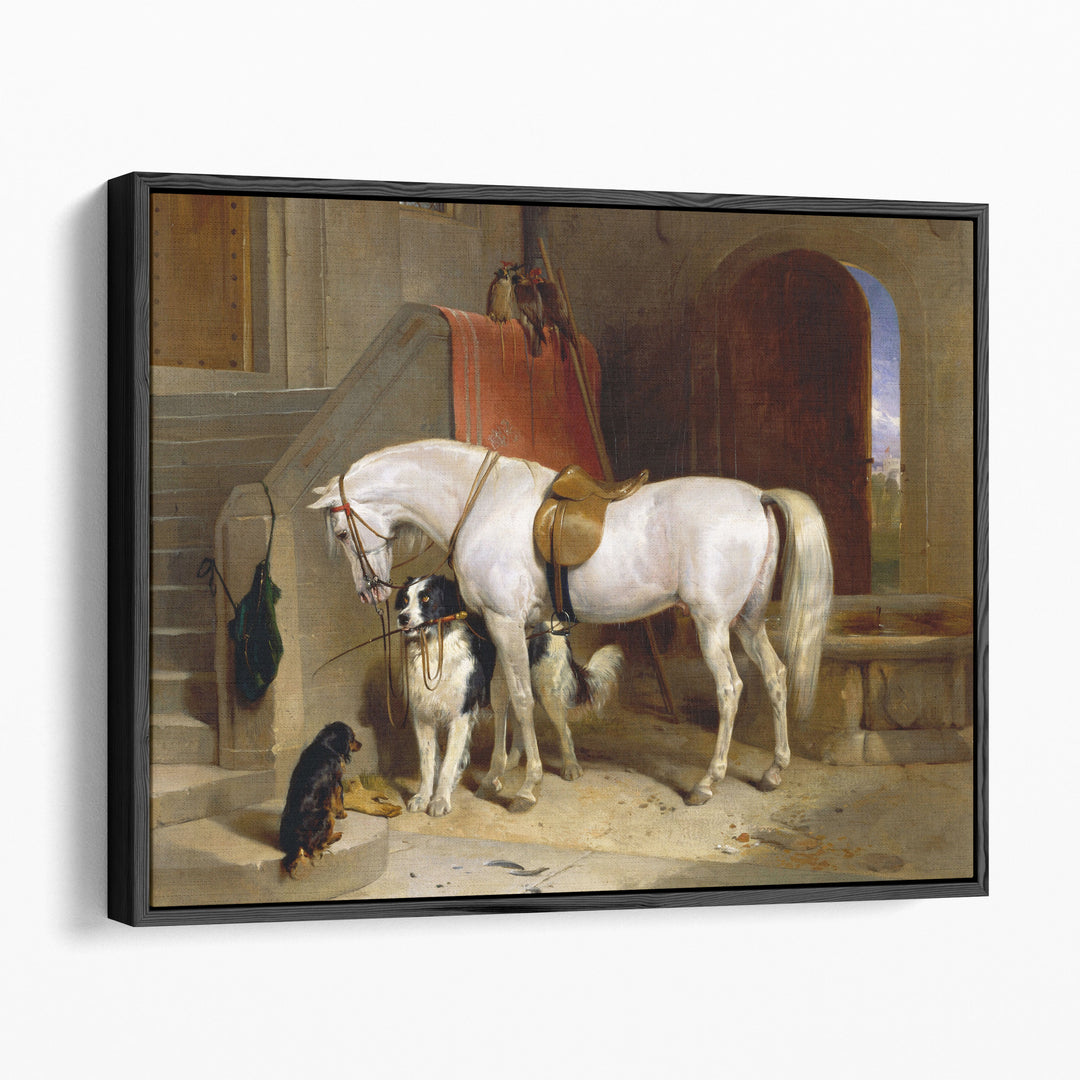 Favourites, the Property of H.R.H. Prince George of Cambridge - Canvas Print Wall Art