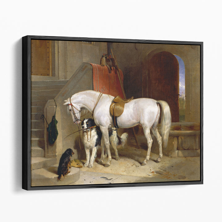 Favourites, the Property of H.R.H. Prince George of Cambridge - Canvas Print Wall Art