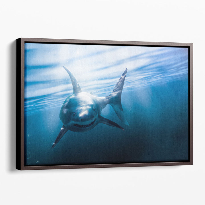 Great White Shark - Canvas Print Wall Art