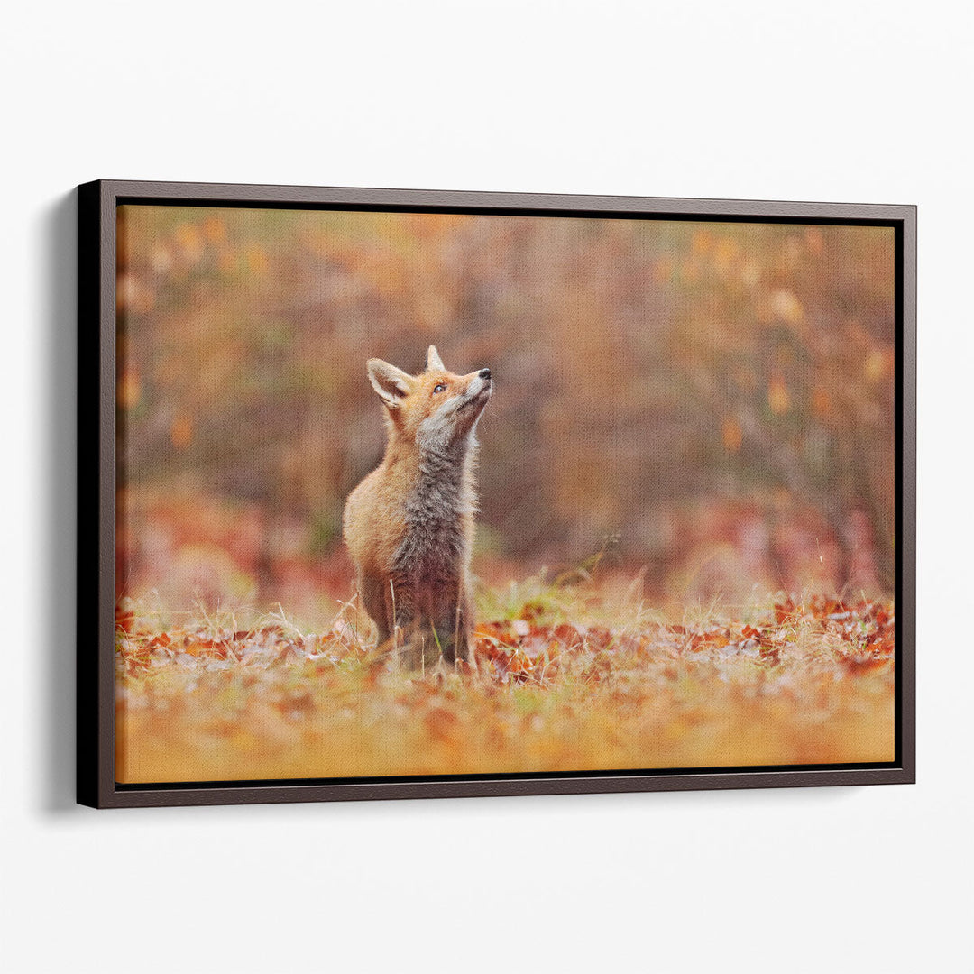 Cute Red Fox in Fall Forest - Canvas Print Wall Art