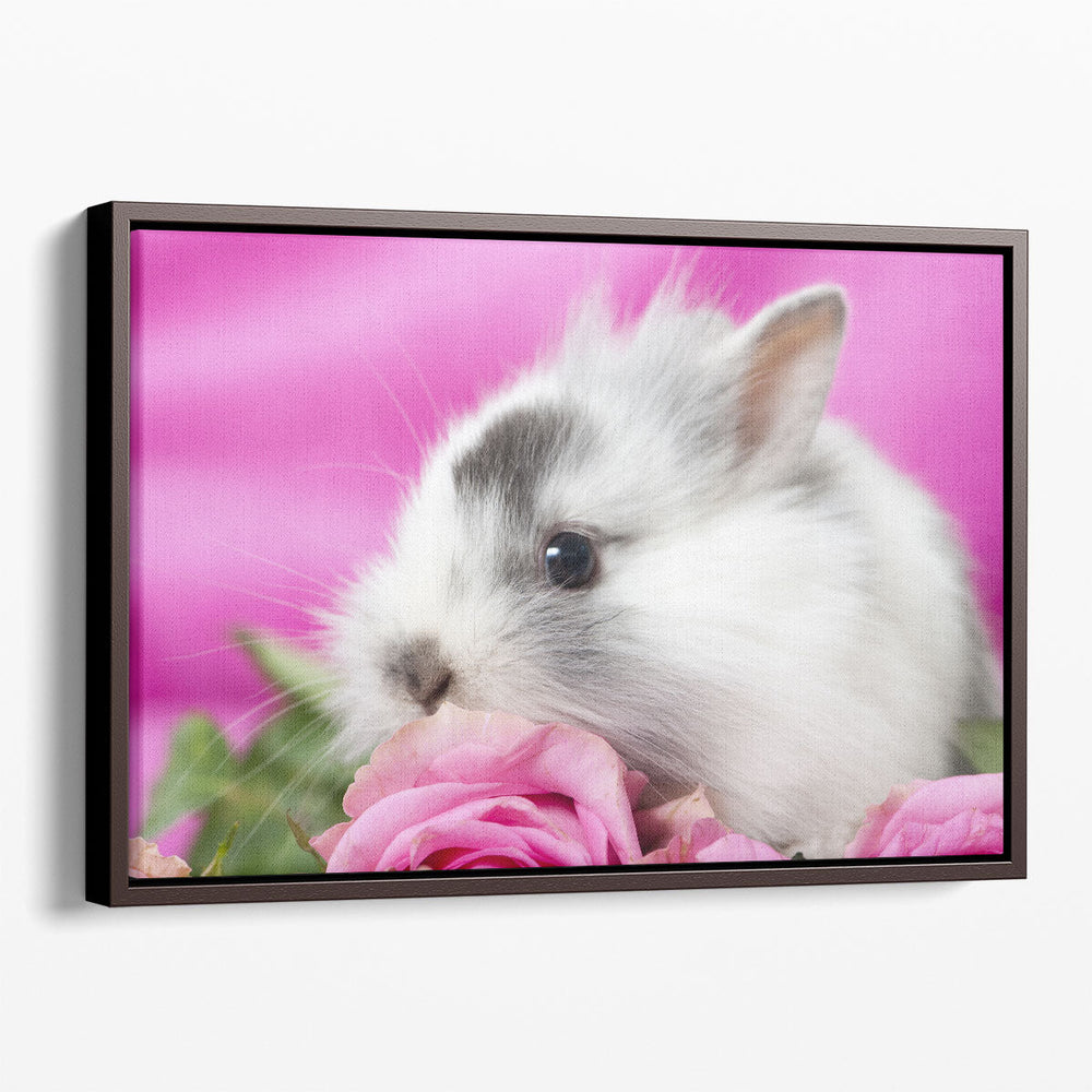 Cute Rabbit With Pink Roses - Canvas Print Wall Art