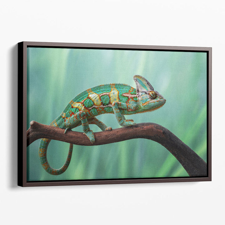 Beautiful Chameleon On The Wood - Canvas Print Wall Art