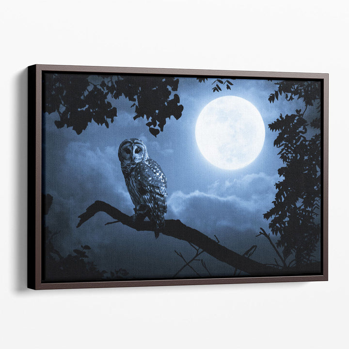 An Owl, Quiet Night, and a Bright Moon - Canvas Print Wall Art