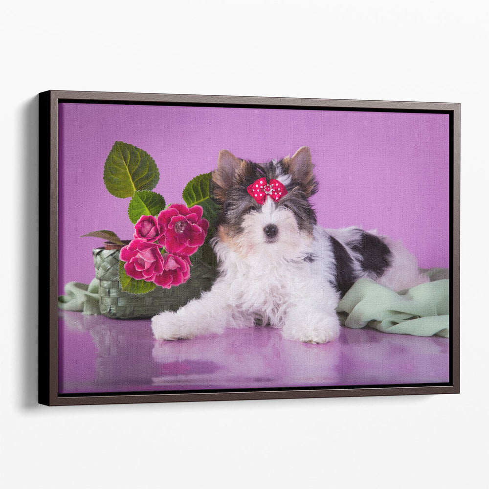 Beaver York Dog With Flowers - Canvas Print Wall Art