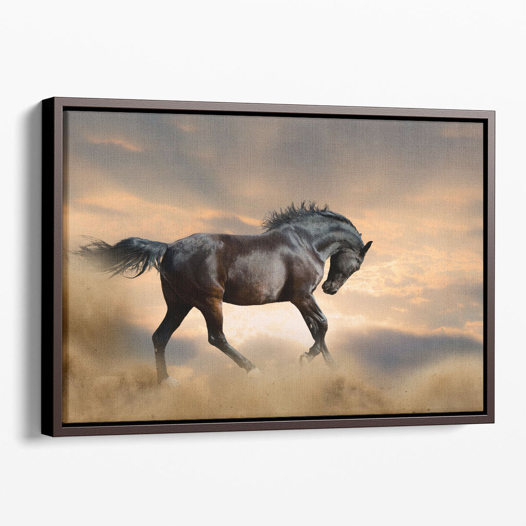 Black Stallion Horse - Canvas Print Wall Art