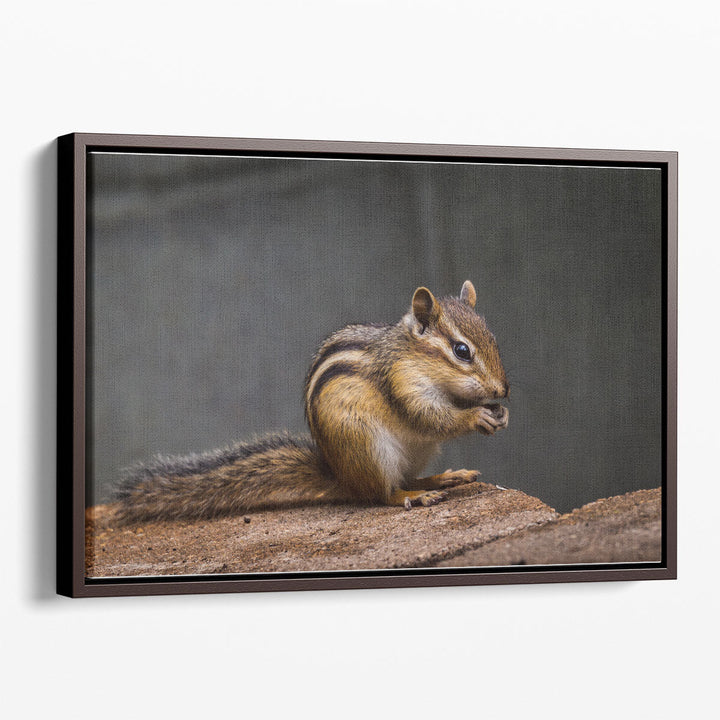 Chipmunk With Stone in His Cute Hands - Canvas Print Wall Art