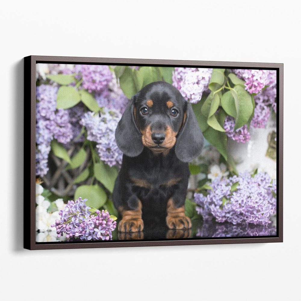 Dachshund with Flowers - Canvas Print Wall Art