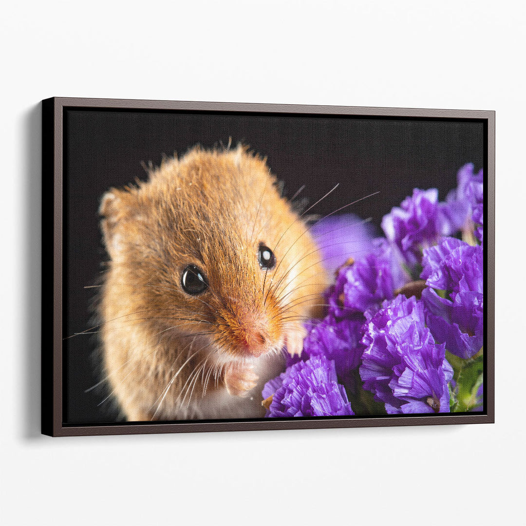 Harvest Mice On Flowers - Canvas Print Wall Art