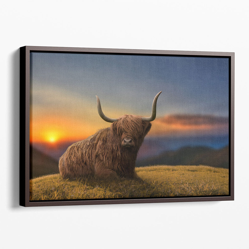 Large Highland Cow in a Meadow - Canvas Print Wall Art