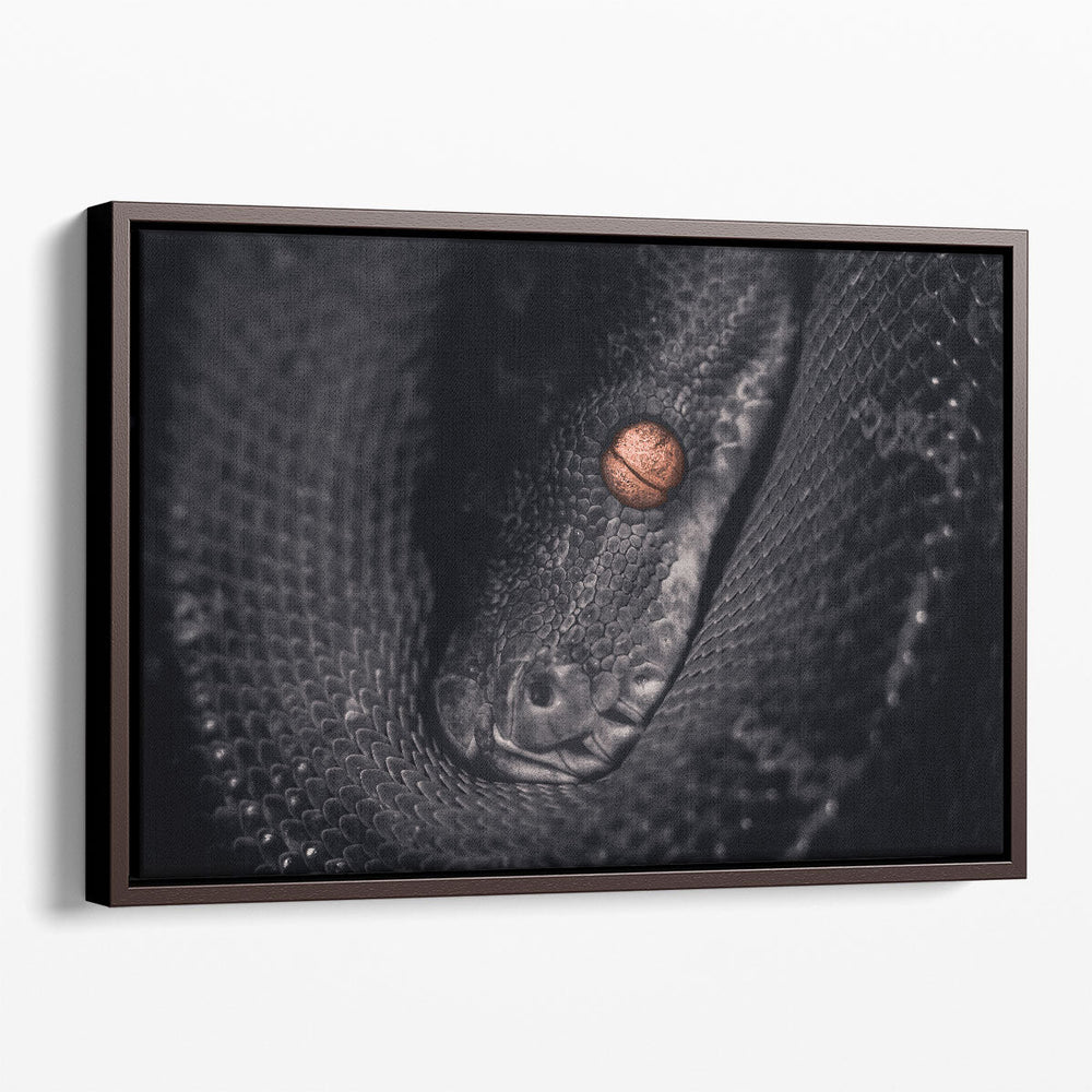 Python Snake Photography - Canvas Print Wall Art