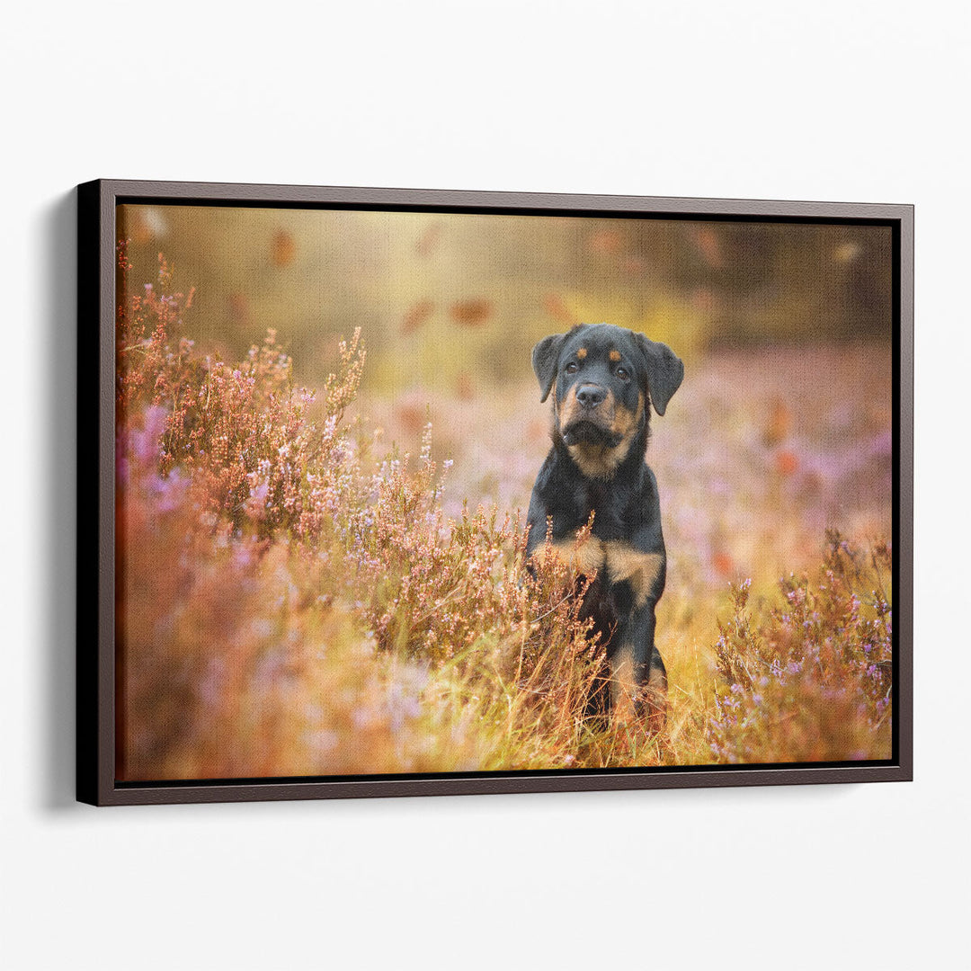 Rottweiler Puppy in Nature - Canvas Print Wall Art