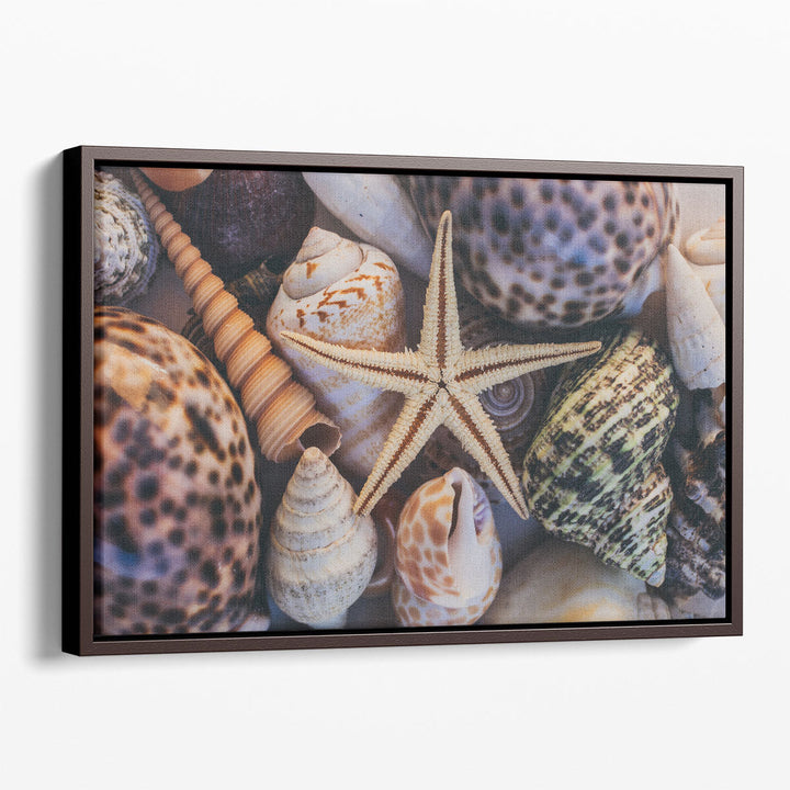 Seashells and Starfish - Canvas Print Wall Art