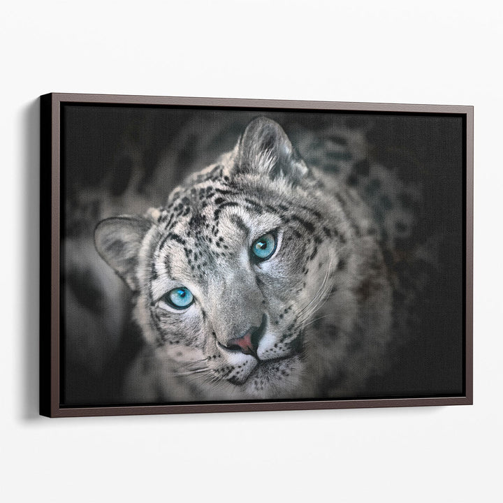 Snow leopard or Irbis Portrait - Canvas Print Wall Art